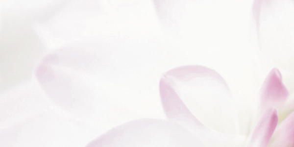 Violetta_06-01-1-64-04-51-333-0_1 Декор Виолетта (панно из 6-ти) 1000х750х9 фото