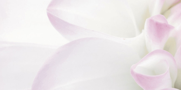 Violetta_06-01-1-64-04-51-333-0_3 Декор Виолетта (панно из 6-ти) 1000х750х9 фото