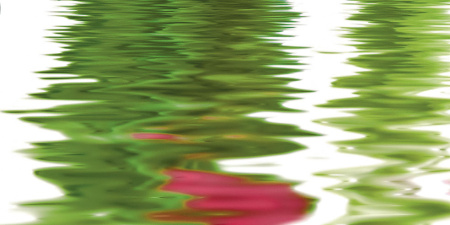 Tulpany_06-01-1-64-04-21-160-0_5 Декор Тюльпаны (панно из 6-ти) 1000х750х9 - фото