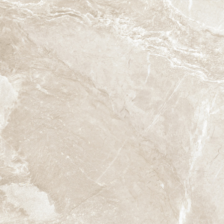 Керамогранит Wild Gold (New Trend) 600х600х9,5 - фото