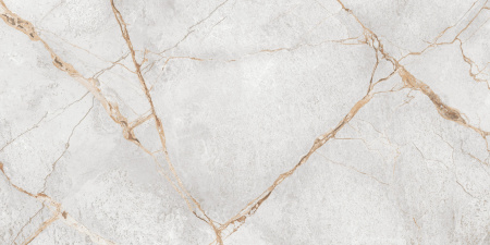 Керамогранит Special Marmo Gray (LCM) 600х1200х7 - фото