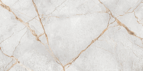 Керамогранит Special Marmo Gray (LCM) 600х1200х7 фото