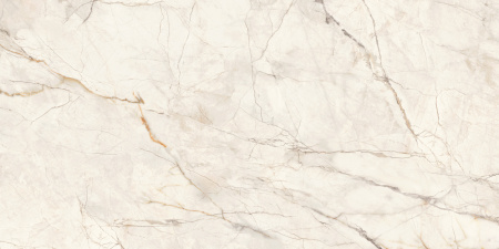 Керамогранит Wonderfull (LCM) 600х1200х7 - фото