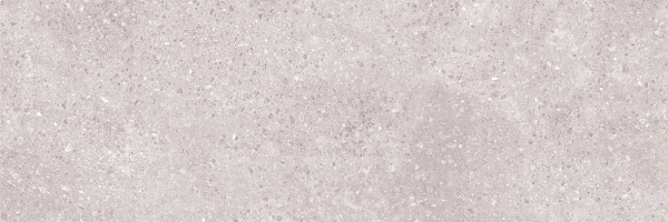 Охта_00-00-5-17-01-06-2050_600х200_М_02 Плитка для стен Охта 600х200х9 фото