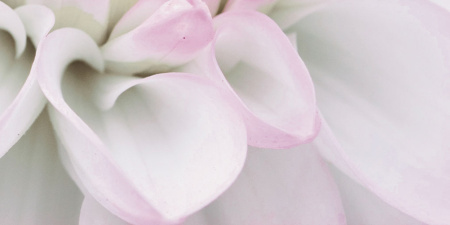 Декор Виолетта (панно из 6-ти) 1000х750х9 - фото