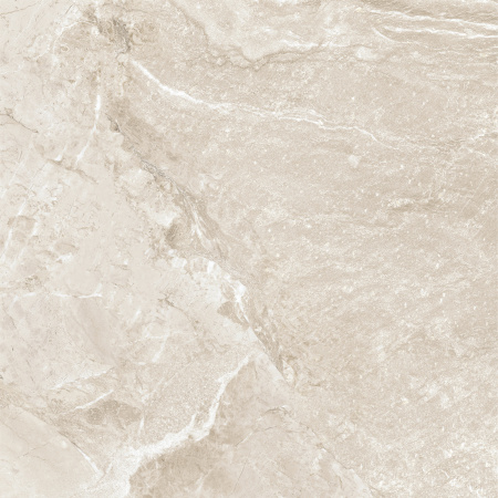 Керамогранит Wild Gold (New Trend) 600х600х9,5 - фото