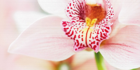 Декор Меланж 1000х500х9 - фото