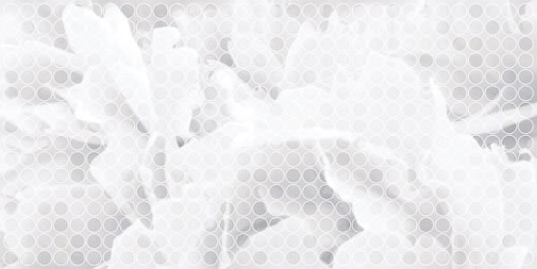 Декор Глэдис 500х250х9 фото