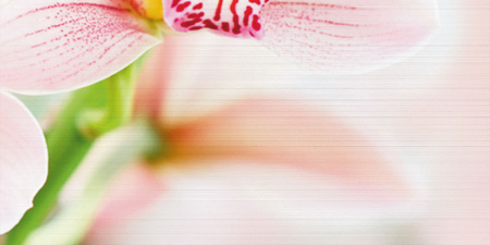 Декор Меланж 1000х500х9 - фото