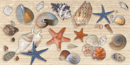 Декор Аликанте 500х250х9 - фото