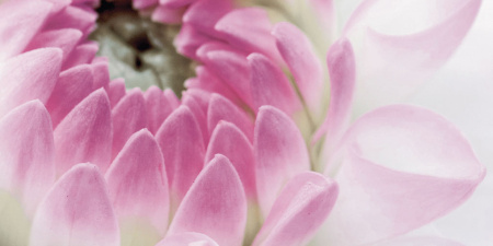 Декор Виолетта (панно из 6-ти) 1000х750х9 - фото