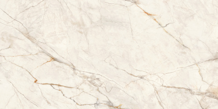 Керамогранит Wonderfull (LCM) 600х1200х7 - фото