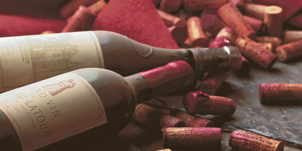 Декор Тоскана 500х250х9 фото