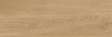 Террацио_00-00-5-17-01-23-3006_600х200_М_02 Плитка для стен Тесина 600х200х9 - фото