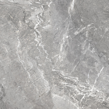 Керамогранит Wild Dark (New Trend) 600х600х9,5 - фото