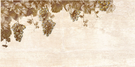 Декор Тоскана 500х250х9 - фото