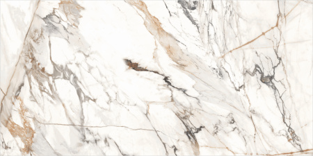 Керамогранит Calcutta Paonazzo_GT 600x1200x8,5 - фото