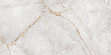 Керамогранит Special Marmo Gray (LCM) 600х1200х7 - фото