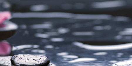 Декор Орхидея 500х250х9 - фото