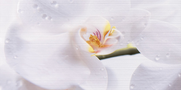 Декор Меланж 1000х500х9 фото