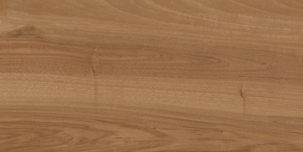 Crocus_00-00-5-18-01-15-1024_600х300х9_М Плитка для стен Crocus 600х300х9 фото