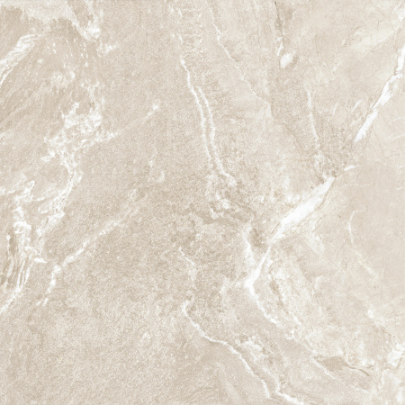 Керамогранит Wild Gold (New Trend) 600х600х9,5 - фото