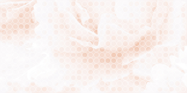 Декор Глэдис 500х250х9 фото