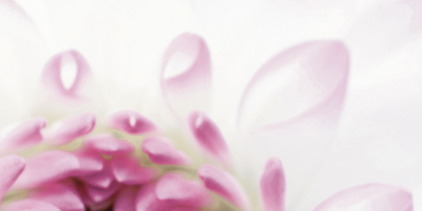 Violetta_06-01-1-64-04-51-333-0_2 Декор Виолетта (панно из 6-ти) 1000х750х9 фото