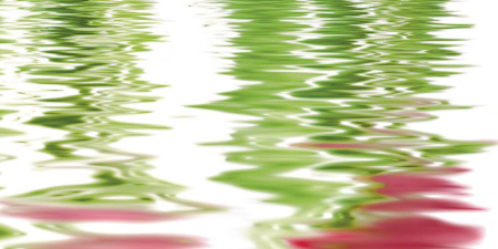 Tulpany_06-01-1-64-04-21-160-0_6 Декор Тюльпаны (панно из 6-ти) 1000х750х9 - фото