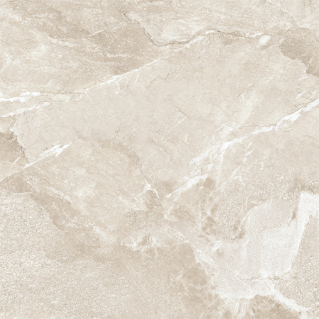 Керамогранит Wild Gold (New Trend) 600х600х9,5 - фото