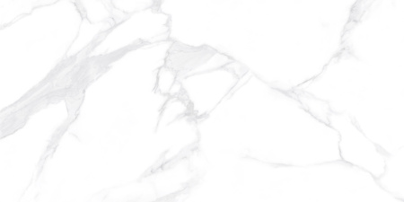 Керамогранит Dallas Silver (LCM) 600х1200х7 - фото