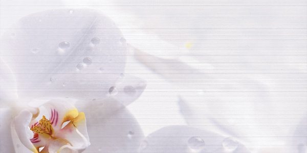 Декор Меланж 1000х500х9 фото