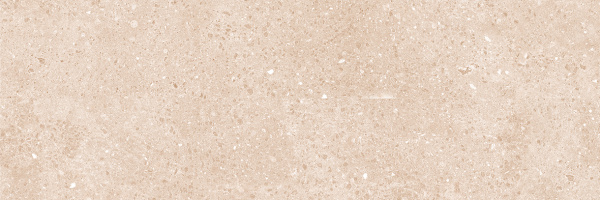 Охта_00-00-5-17-01-11-2050_600х200_М_02 Плитка для стен Охта 600х200х9 фото