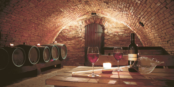 Декор Тоскана 500х250х9 фото