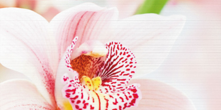 Декор Меланж 1000х500х9 - фото