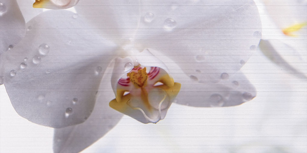 Декор Меланж 1000х500х9 фото