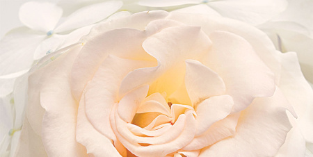 Декор Амелия 500х250х9 - фото