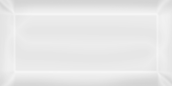 vernassage_white_glossy Мелкоформатная плитка Vernissage White matte 200х95х7 фото