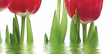 Tulpany_06-01-1-64-04-21-160-0_4 Декор Тюльпаны (панно из 6-ти) 1000х750х9 - фото