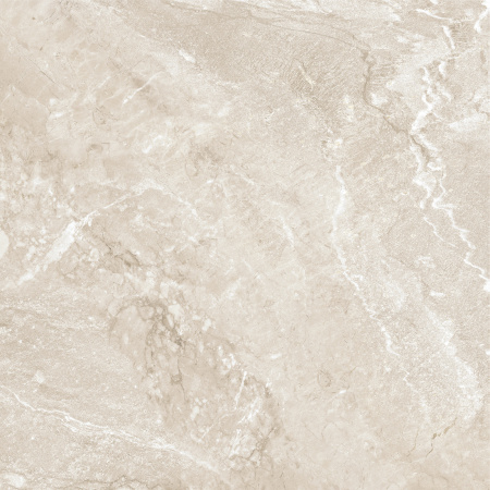 Керамогранит Wild Gold (New Trend) 600х600х9,5 - фото