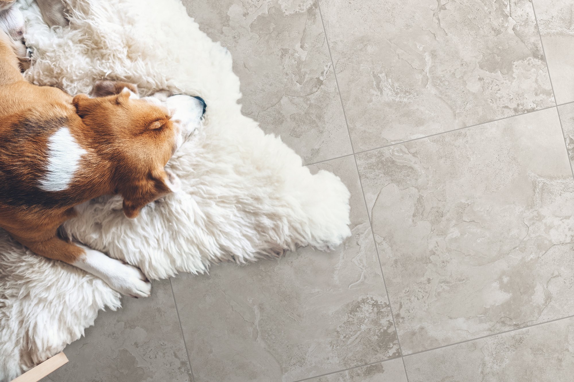 Керамогранит коллекция Levenburg_GT фото 4